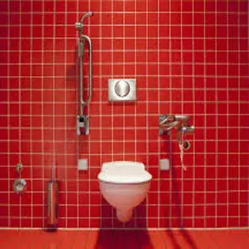 White Water Closet Anglo Indian Toilet Seat